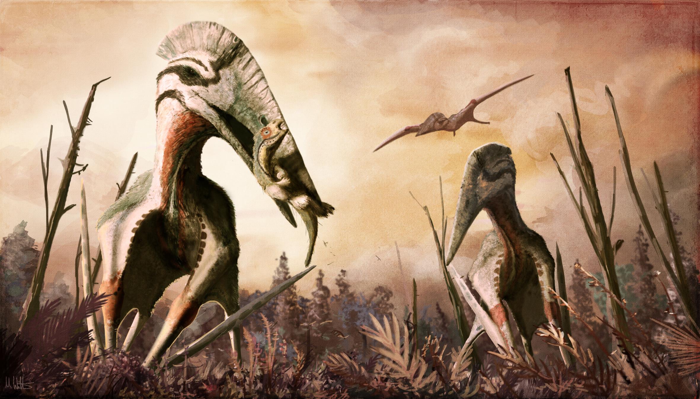 La ricostruzione digitale del Pterosauro