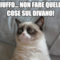 ciuffo... non fare quelle cose sul divano!