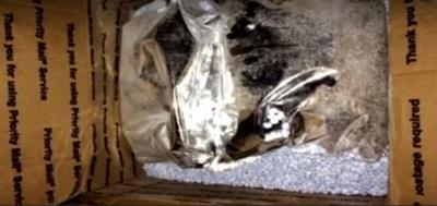 Vista ravvicinata del pacco contenente la droga
