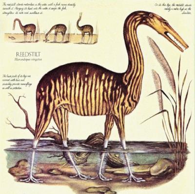 La talpa dinosauro