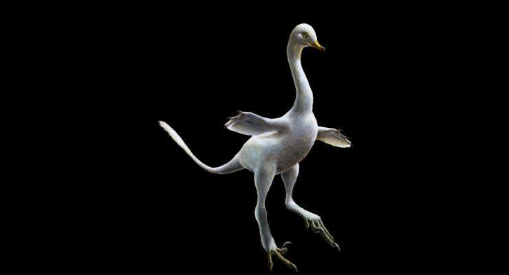 La ricostruzione digitale del dinosauro.