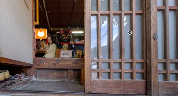 Un'immagine dall'interno di Cat Street View