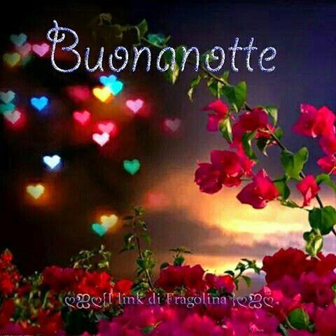 Un messaggio di buonanotte a tema fiori - Fiori, le più belle immagini per il buongiorno, buonanotte e buon compleanno