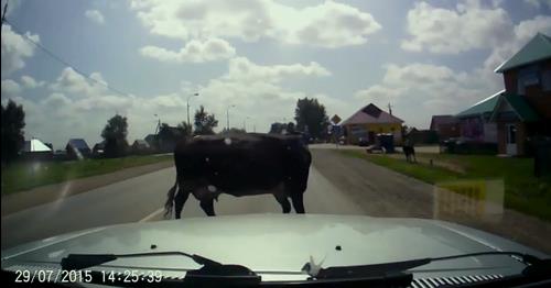 Uno screenshot di The Road Movie