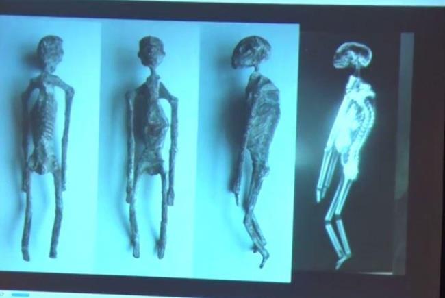 Le mummie aliene trovate in Perù sono autentiche Le mummie aliene