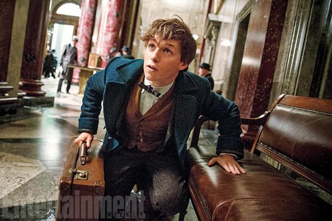 Newt Scamander ne Gli Animali Fantastici