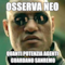 osserva neo quanti potenzia agenti guardano sanremo