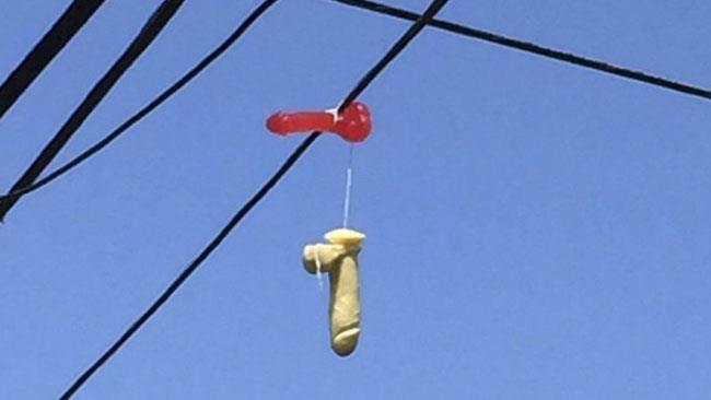 Centinaia di dildo sono appostati sulle linee telefoniche di Portland I dildo appesi alle linee telefoniche di Portland