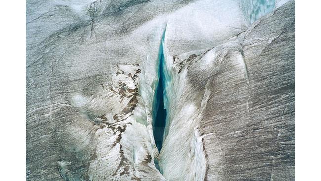 Le migliori 10 foto di Vagine nella natura - 1