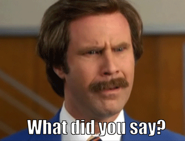 GIF what did you say