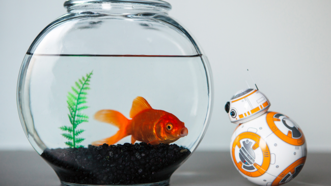 In arrivo ad autunno, il nuovo modello sarà manovrabile con semplici movimenti della mano. Se prima bastava usare il touchscreen, ora il nuovo BB-8 sarà manovrabile con... la Forza!