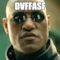 DVFFASF