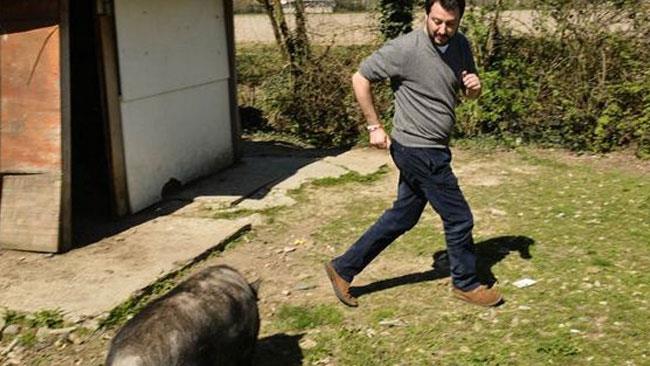 Matteo Salvini inseguito da un maiale durante una visita a un campo rom di Milano Matteo Salvini scappa dal maiale