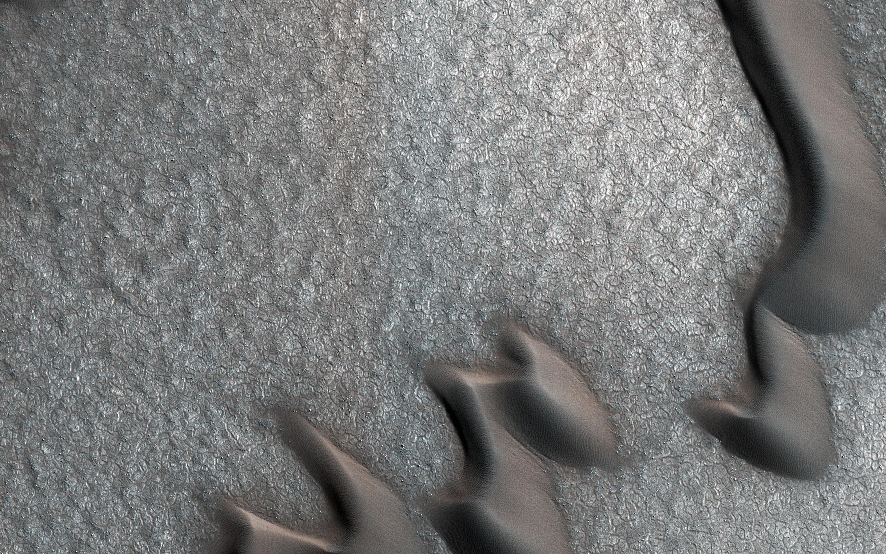 La foto degli strani massi trovati dalla NASA