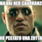 Ma vai ner caapranzi Ho pestato una zotta