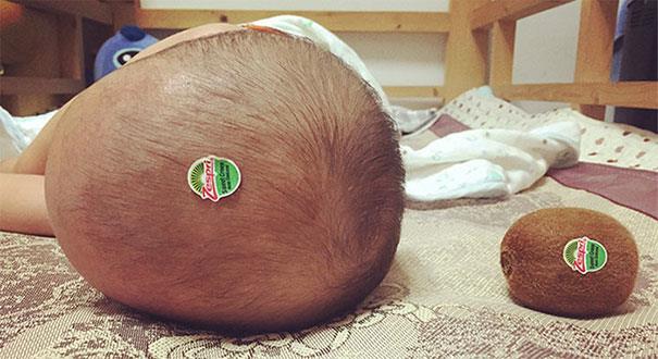 Un bimbo e un kiwi