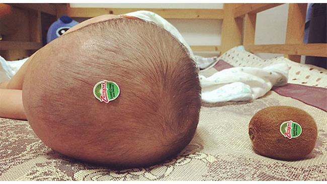 Un bimbo e un kiwi