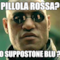 pillola rossa? o suppostone blu ?