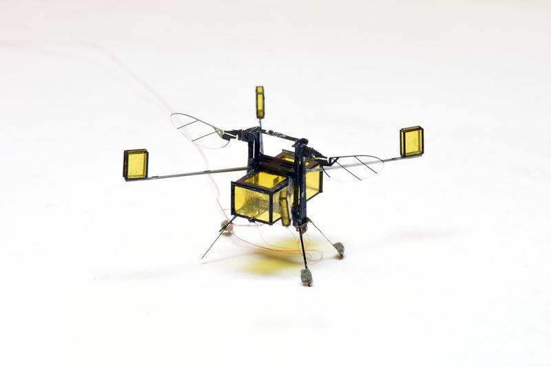 Un modello di ape robotica