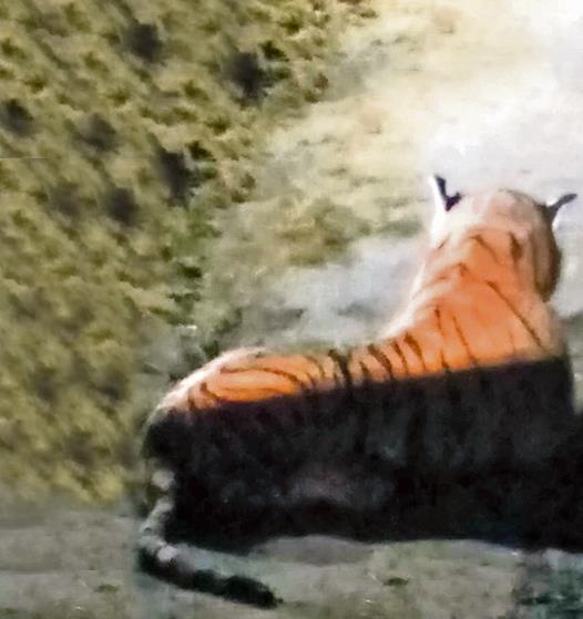 Una foto di un'innocua tigre peluche