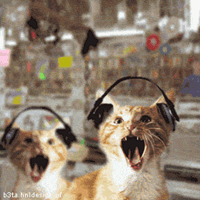 GIF di gatti che ascoltano la musica