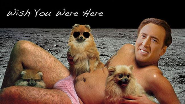 FlopTV è in vacanza fino al 17 agosto Nicolas Cage vacanze