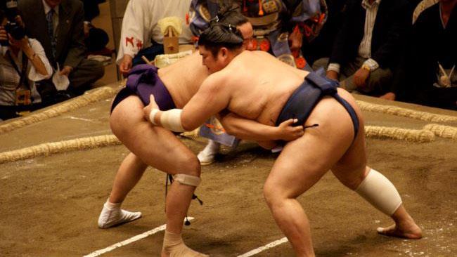 Il nuovo profumo alla fragranza di lottatore di Sumo Un combattimento fra lottatori di Sumo