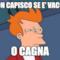 NON CAPISCO SE E' VACCA o cagna