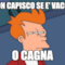 NON CAPISCO SE E' VACCA o cagna