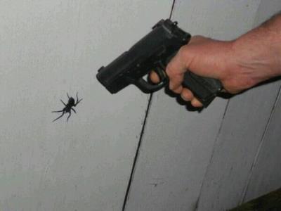 Un uomo punta una pistola contro un ragno