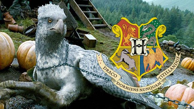 Le riprese dello spin-off di Harry Potter sono iniziate Fierobecco a Hogwarts