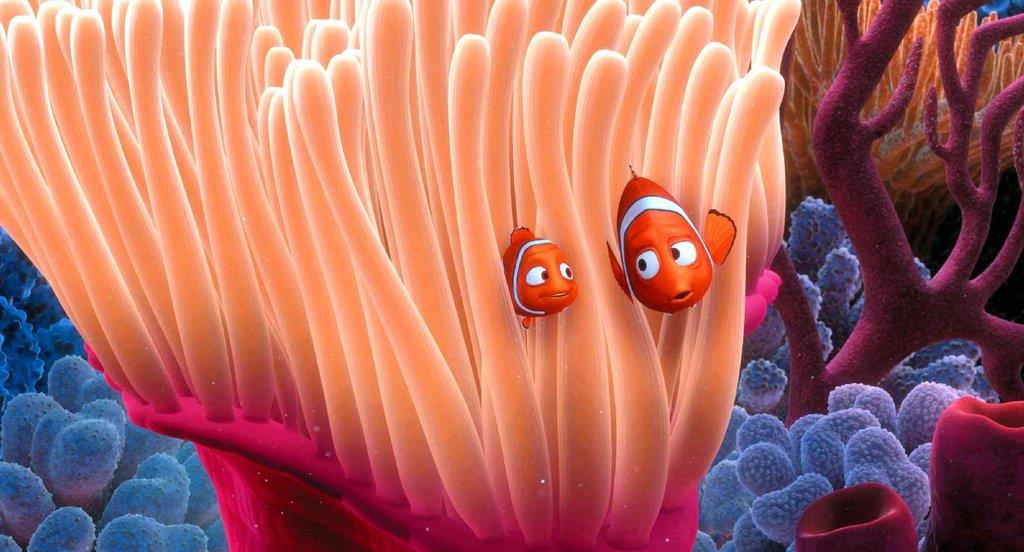 Il pesciolino Nemo in realtà non è mai esistito.
