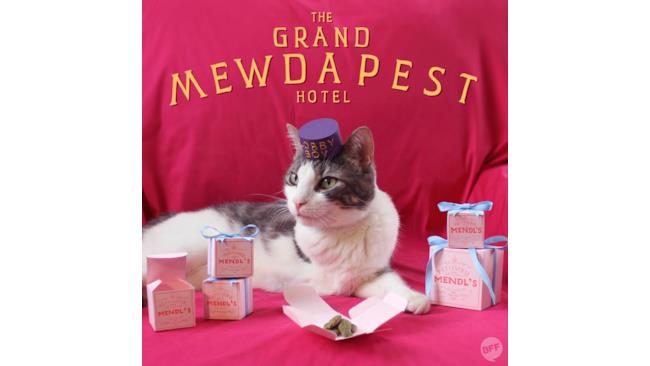 Grand Budapest hotel poster con gatto