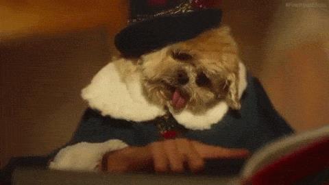 Un cane fa la lista dei buoni e dei cattivi per Natale