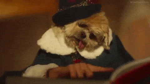 Un cane fa la lista dei buoni e dei cattivi per Natale