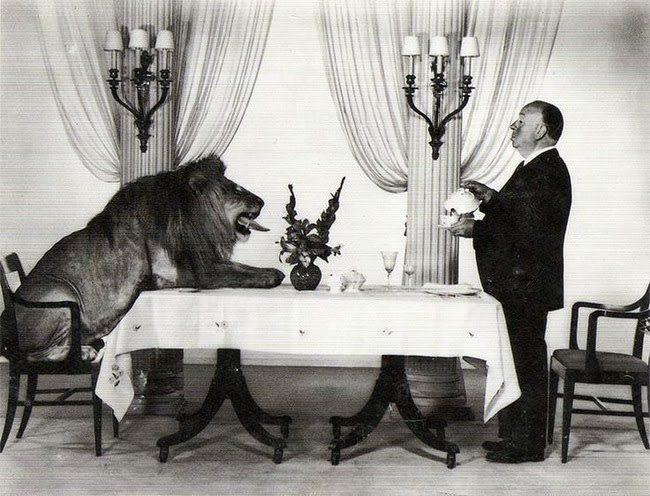 Immagine che raffigura Alfred Hitchcock che beve il te con il leone della Metro-Goldwyn-Mayer