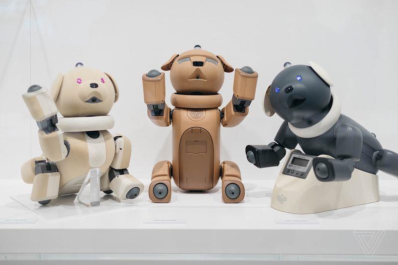 Alcuni robot AIBO