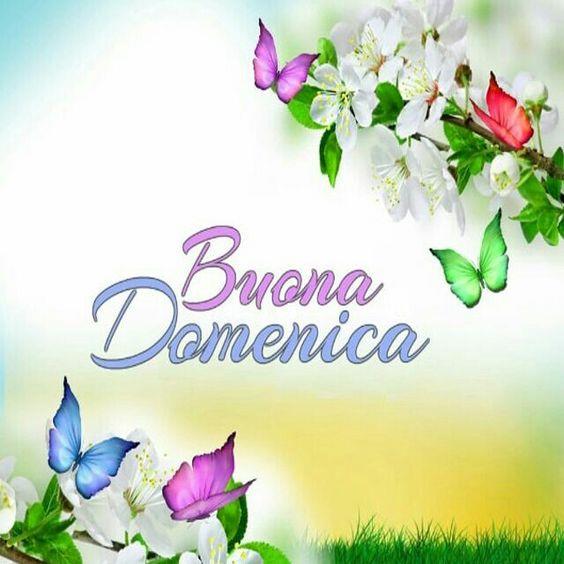 Alcune farfalle e dei fiori