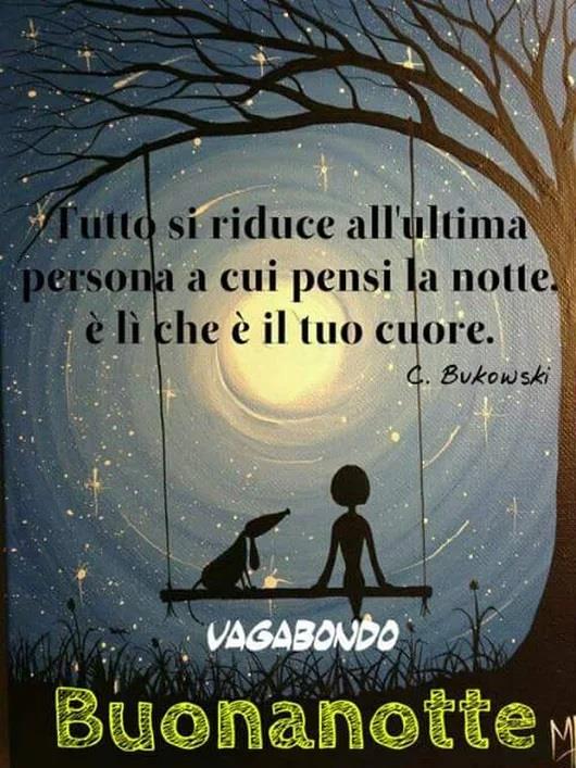 Un cielo stellato con un ragazzo e un cane su una altalena