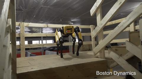 Il cane robot messo a punto da Boston Dynamics che scende le scale
