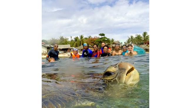 Una tartaruga gigante fa photobombing
