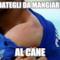 dategli da mangiare al cane
