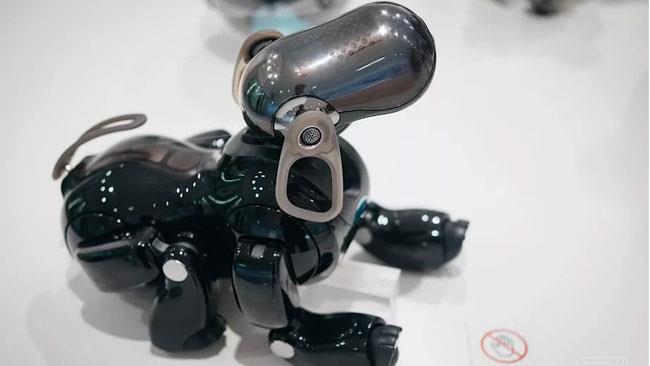 Ecco il cane robot Una delle prime foto del cane robot