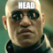 HEAD