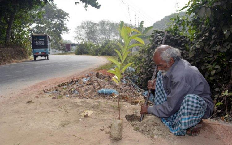 Abdul Samad Sheikh mentre pianta un albero