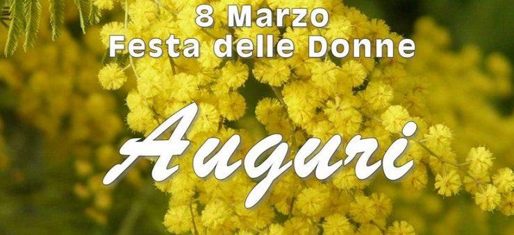 MIMOSE IMMAGINI DA SCARICARE