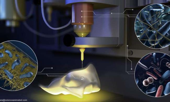 L'inchiostro 'vivo' che ti permette di stampare in 3D pelle sintetica Il processo di stampa 3D in azione