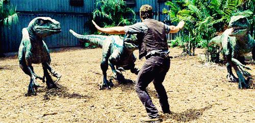 Owen Grady con i velociraptor di Jurassic World