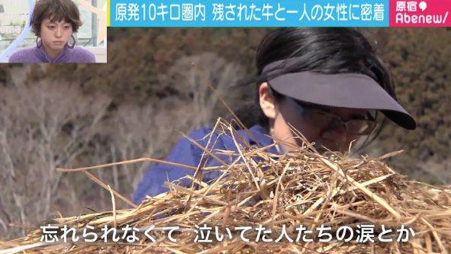 Tani Sakiyuki, la donna che si prende cura delle mucche di Fukushima Tani Sakiyuki mentre prepara il cibo per le mucche di Fukushima