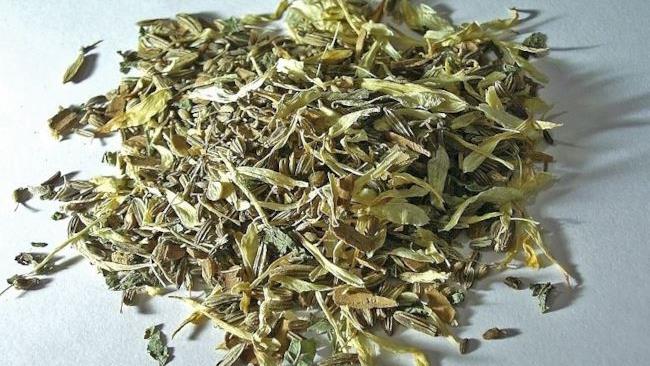 In carcere per colpa di una busta di tè alla menta Erbe per il tè